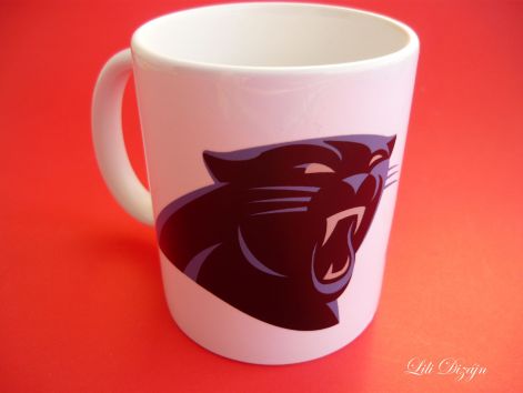 carolina_panthers_b1.jpg