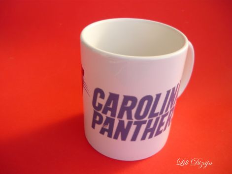 carolina_panthers_b2.jpg